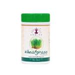 Unwind Wheatgrass Powder 100Gm Boosts The Immunity Improves The Digestive System Blood Purification Prevents Premature Ageing Of The Skin