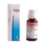 Dr. Reckeweg R26 Draining And Stimulating Drop 22Ml For Weak Immunity