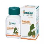 Himalaya Wellness Pure Herbs Guduchi (60 tabs) - Immunity Wellness