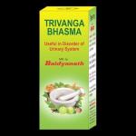 Baidyanath Trivang Bhasma For Urinary Disorders &amp; Diabetes