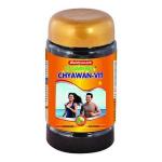 Baidyanath Chyawan-Vit (Sugar Free)1 Kg