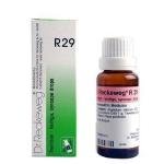 Dr. Reckeweg R29 Vertigo &amp; Syncope Drop 22Ml For Brain Problems, Stroke, Migraine Headache, Neck Or Head Injury