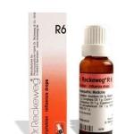 Dr. Reckeweg R6 Influenza Drop 22Ml For Fever, Headaches &amp; Cough