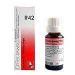 Dr. Reckeweg R42 Varicosis Drop 22Ml For Leg ,Knee Pain
