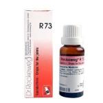 Dr. Reckeweg R73 Joint Pain Drop 22Ml