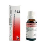 Dr. Reckeweg R62 Measles Drop 22Ml For Eye &amp; Skin Infections