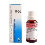 Dr. Reckeweg R66 Cardiac Arrhythmia Drop 22Ml