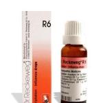 Dr. Reckeweg R6 Influenza Drop 22Ml