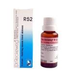 Dr. Reckeweg R52 Travel Sickness Drop 22Ml