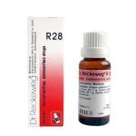 Dr. Reckeweg R28 Dysmenorrhea & Amenorrhea Drop 22Ml