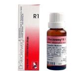 Dr. Reckeweg R1 Inflammation Drop 22Ml