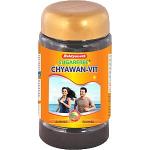 Baidyanath Chyawan-Vit (Sugar Free) 500 Gm - Immunity Booster