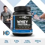 Healthoxide Whey Protein With Stevia, Omega 500GM (Delicious Double Rich Chocolate)