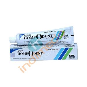 SBL Homeodent Toothpaste 100g